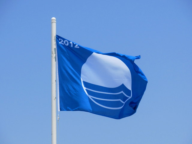 The Blue Flag